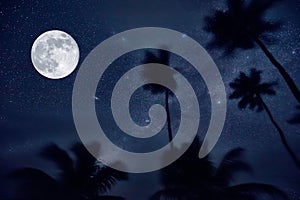 night sky, moon and palm trees. stars in the tropics