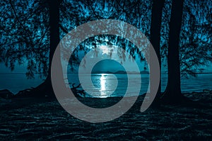 Night sky and moonlight behind silhouettes of trees. Serenity ba