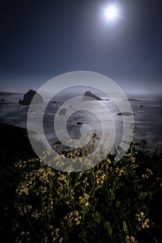 The Night Sky at a Northern California Beach