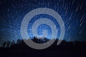 Night sky, star trails and forest