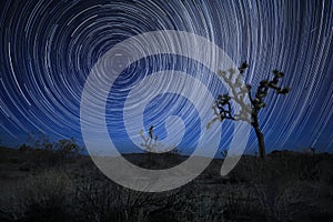 Night Sky Star Trails in Joshua Tree California on a Moon Lit Evening