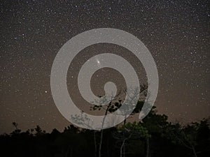 Night sky stars and  Andromeda M31 galaxy observing