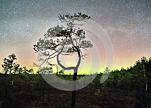 Night sky stars and Aurora polar lights observing in Latvia