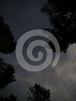 Night sky stars Big dipper constellation over forest