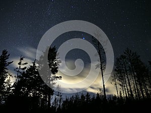 Night sky stars and clouds over forest Vega star Lyra constellation