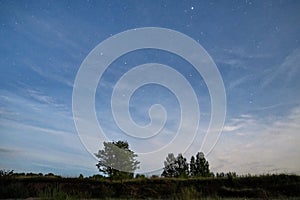 Night sky stars lights over green field photo