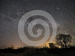 Night sky stars and milky way star observing over tree