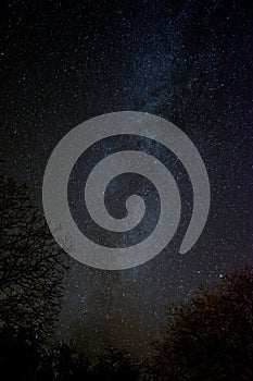 Night sky with stars and milkyway.