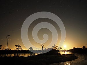 Night sky stars Moon rise over swamp observing