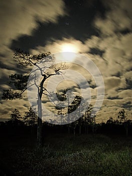 Night sky stars Moon set pleiades observing