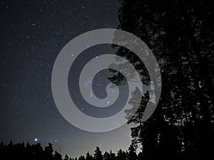 Night sky stars Orion constellation nebulas Sirius star photo