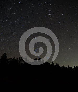 Orion constellation stars in night sky