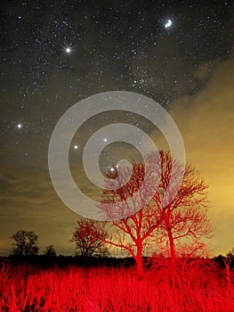 Night sky stars Orion and Taurus constellation red light nightscape