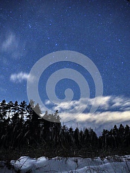 Night sky stars Perseus constellations over winter forest
