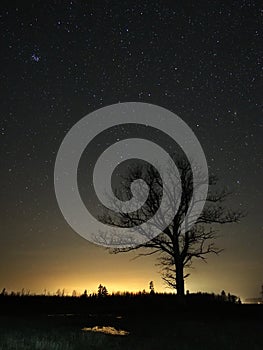 Night sky stars pleiades taurus constellation and moonset nightscape