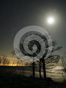 Night sky stars Pleiades Venus and Moon set observing over sea coast