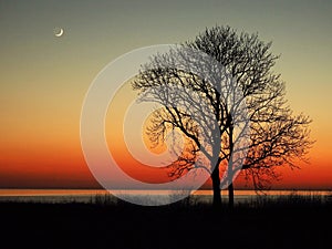 Night sky stars Pleiades Venus and Moon set observing over sea coast