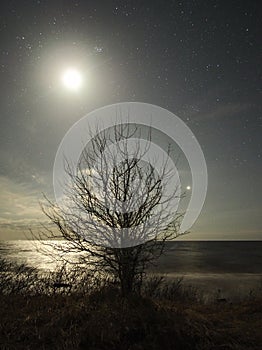 Night sky stars Pleiades Venus and Moon set observing over sea coast