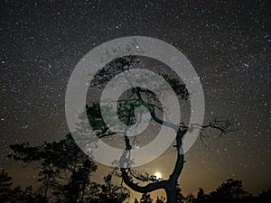 Night sky stars pleiades and venus observing