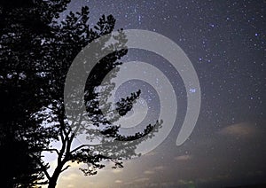 Night sky stars Taurus constellation Pleiades observing
