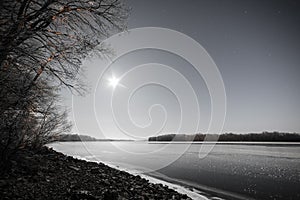 Night sky with stars in the winter night with trees. vintage