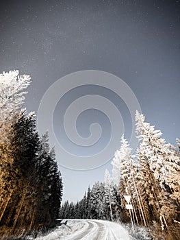 Night sky with stars in the winter night with trees. vintage
