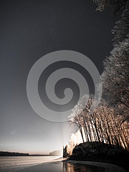 Night sky with stars in the winter night with trees. vintage