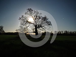 Night sky after sunset moon rising observing