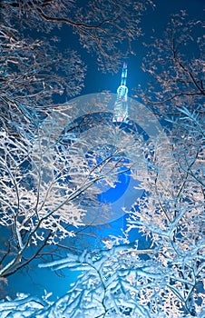 Night snowfall view of Namsan tower of Seoul