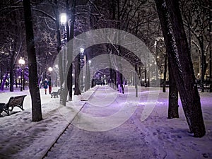 Night snowy winter landscape in the alley of city