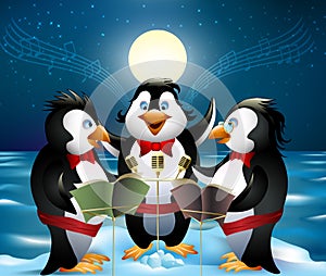 Night song of penguins