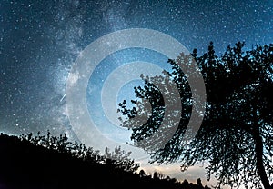 Night starry sky against the background of the Milky Way.