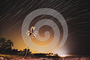 Night Starry Sky Over Tropical Beach With Lonely Palm Tree. 5k Timelapse. Unusual Amazing Blurred Stars Effect Sky. Soft