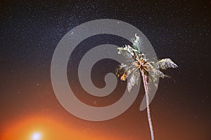 Night Starry Sky Over Tropical Beach With Lonely Palm Tree. Amazing Stars Effect Sky. Soft Colors. Beach Tropical Palm