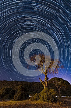 Night and stars on the coast of Cirali