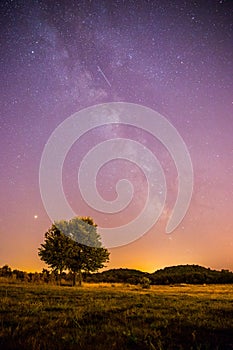 Night and stars Landscape: Clear Milky way at night, lonely field and tree