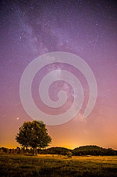 Night and stars Landscape: Clear Milky way at night, lonely field and tree