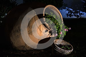 night still life with a large jug