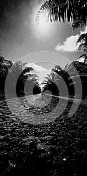 Night street atmosfer