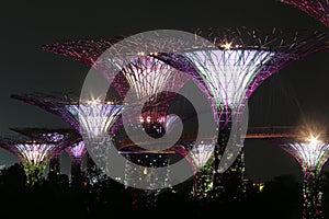 Night Supertree Grove in Singapore.