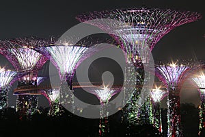 Night Supertree Grove in Singapore. photo