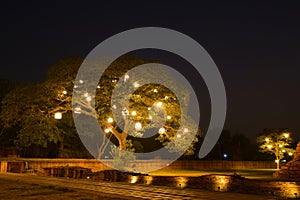 Night theme garden decoration wih tree decorated with light bulb.