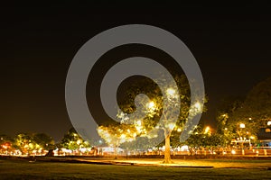 Night theme garden decoration wih tree decorated with light bulb.