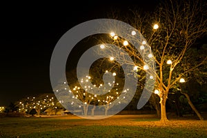 Night theme garden decoration wih tree decorated with light bulb.