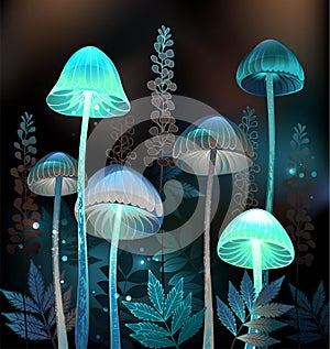 Night toadstools on black background