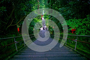 The night view of the approach to the Hakone shrine in a cedar forest. With many red lantern lighted up photo