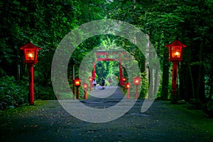 The night view of the approach to the Hakone shrine in a cedar forest. With many red lantern lighted up and a great red photo