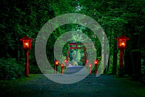 The night view of the approach to the Hakone shrine in a cedar forest. With many red lantern lighted up and a great red photo