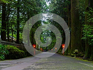 The night view of the approach to the Hakone shrine in a cedar forest. With many red lantern lighted up and a great red photo