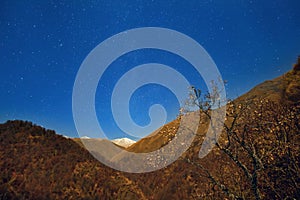 Night view of the autumn forest on the mountains with starry sky background